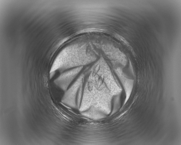 X0000053141321200508081334