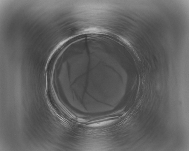 X0000053141323200508081334