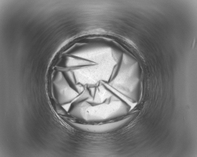 X0000053141326200508081334