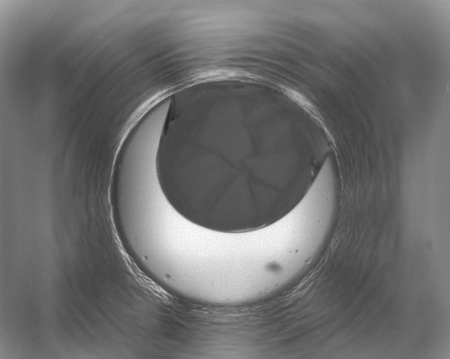 X0000053141330200508081334