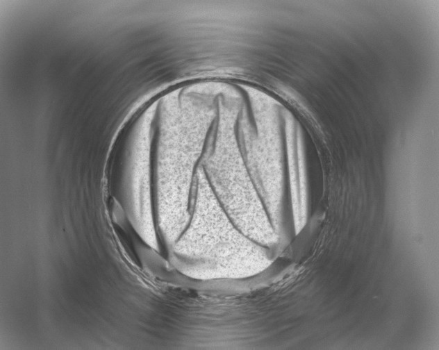 X0000053141332200508081334