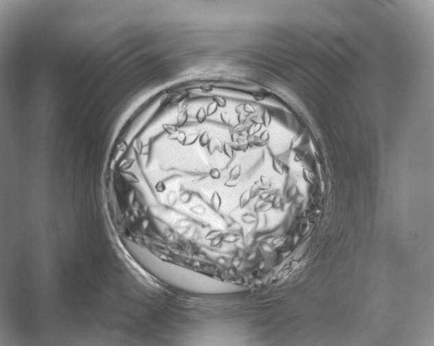 X0000053141344200508081334