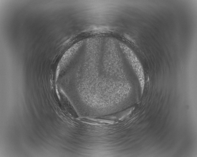 X0000053141348200508081333