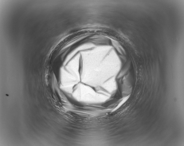X0000053141352200508081333