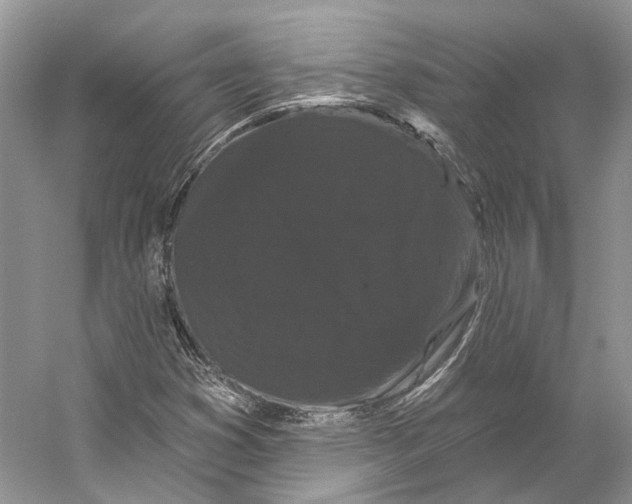 X0000053141353200508081333