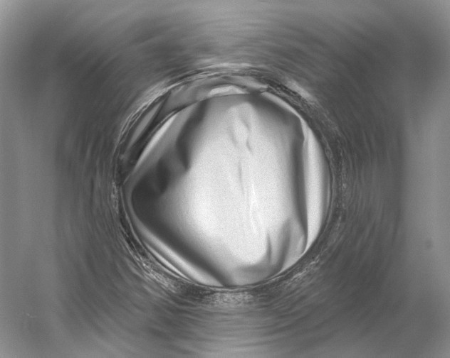 X0000053141354200508081333