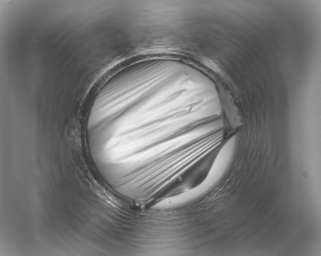 X0000053141356200508081333