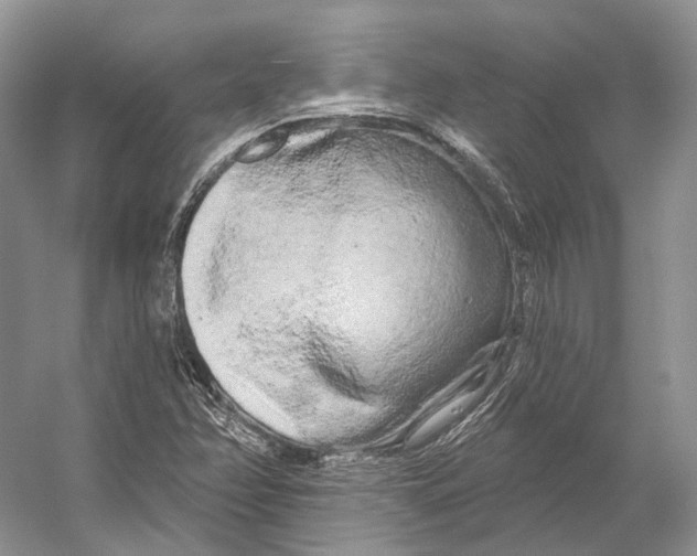 X0000053141358200508081333