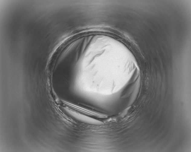 X0000053141360200508081333
