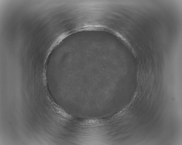 X0000053141362200508081333