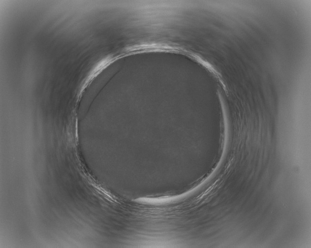 X0000053141365200508081333