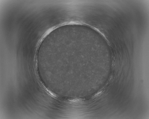 X0000053141367200508081333
