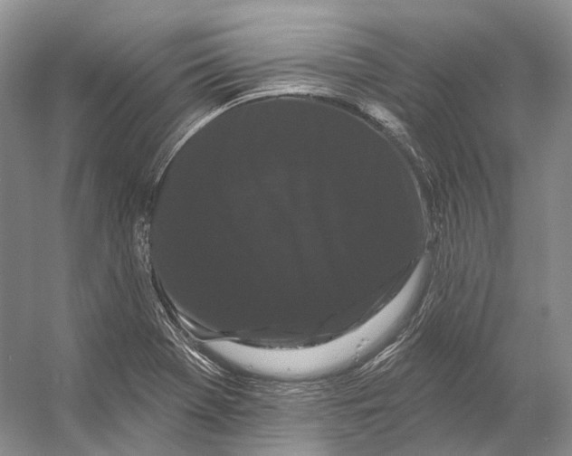 X0000053141369200508081333