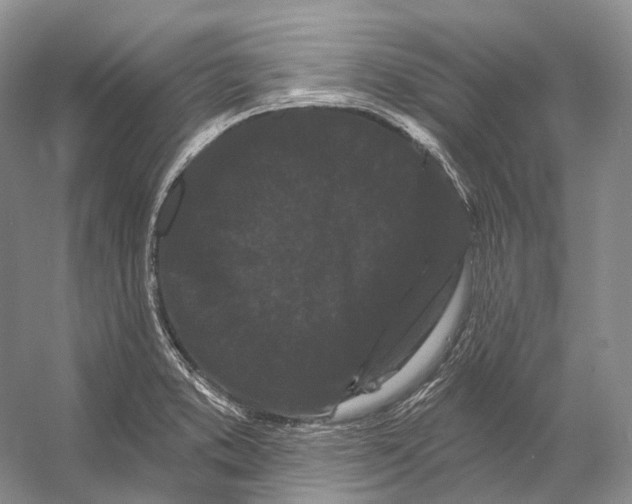 X0000053141373200508081333