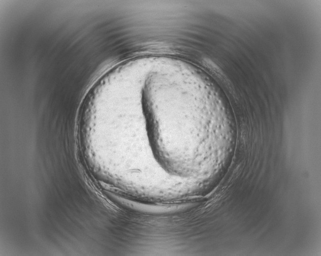 X0000053141378200508081333