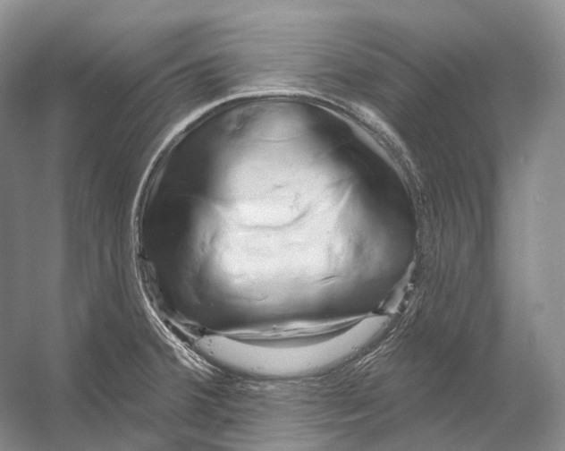 X0000053141380200508081333