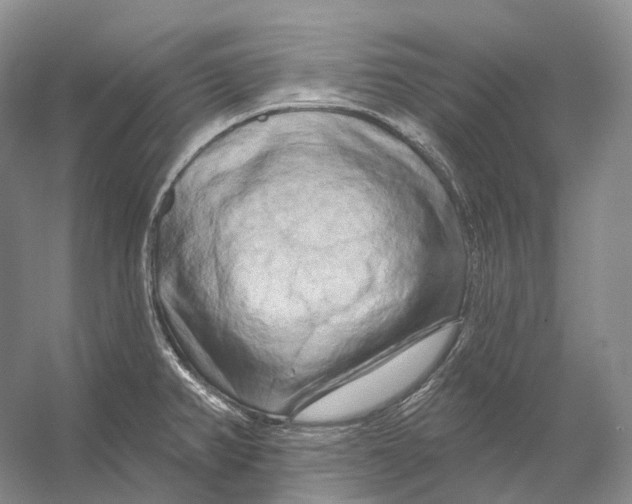 X0000053141382200508081333