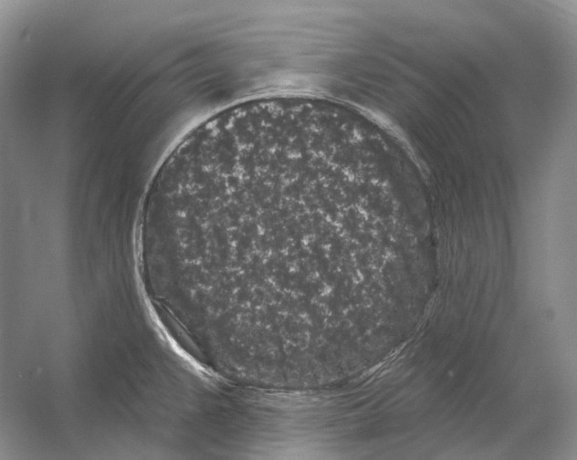 X0000053141383200508081333