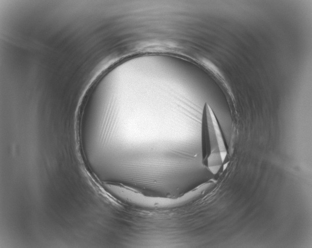 X0000053141384200508081333