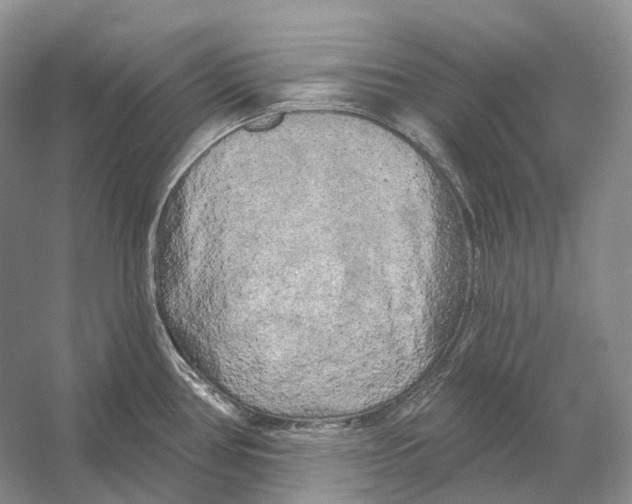 X0000053141386200508081333