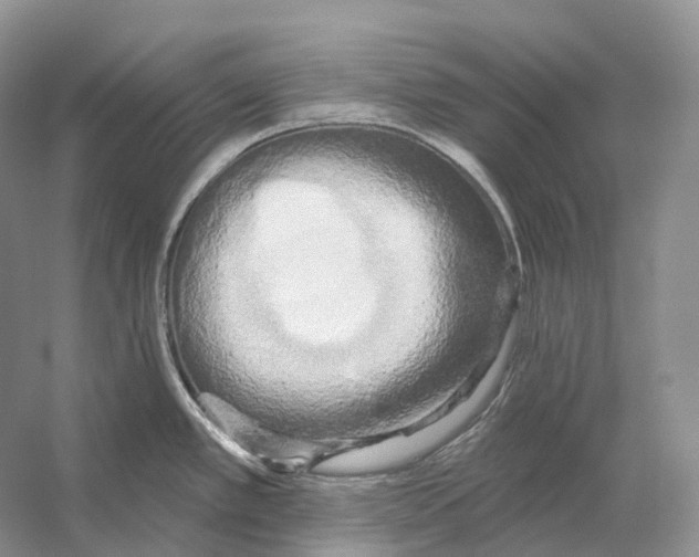 X0000053141389200508081333