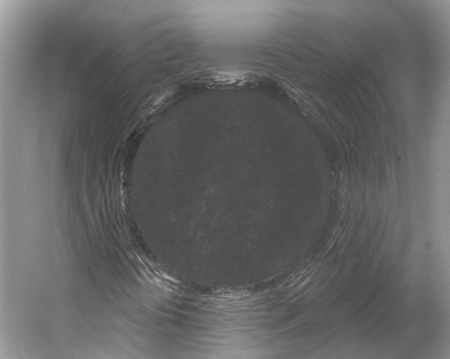 X0000053141394200508081332
