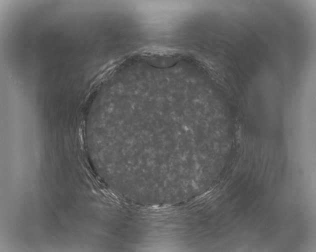 X0000053141397200508081332