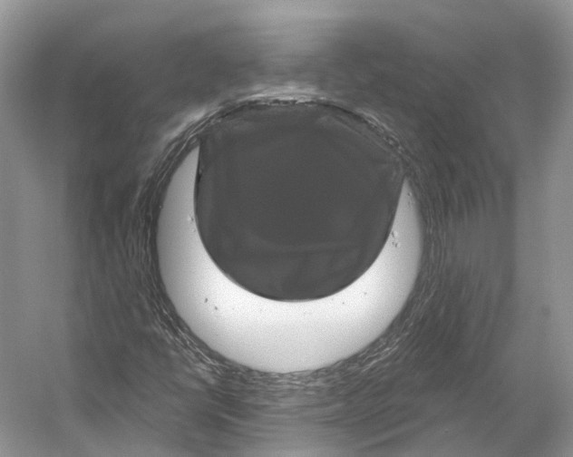 X0000053141398200508081332