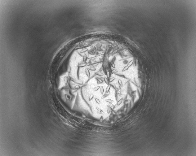 X0000053141400200508081332