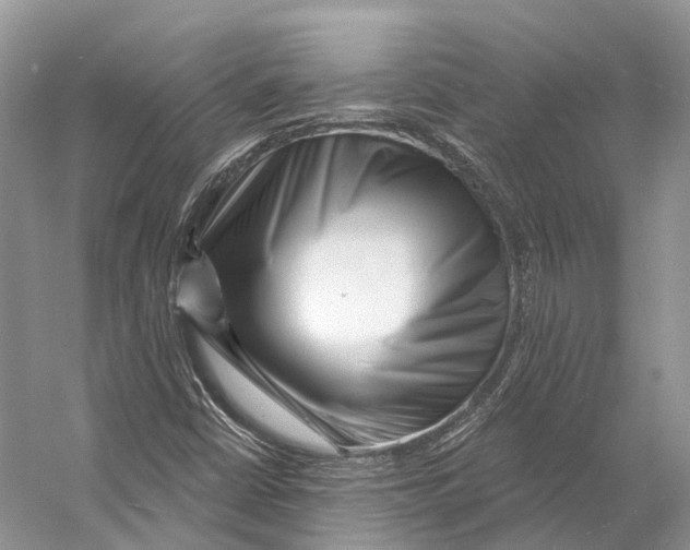 X0000053141402200508081332