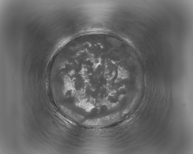 X0000053141405200508081332