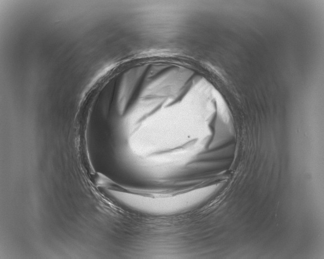 X0000053141406200508081332