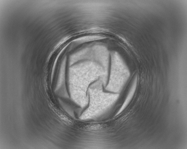 X0000053141410200508081332