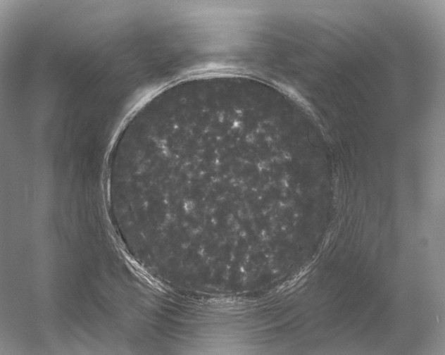 X0000053141413200508081332
