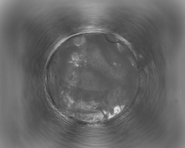 X0000053141415200508081332