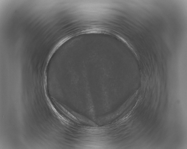X0000053141418200508081332