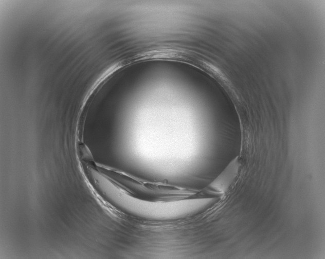 X0000053141426200508081332