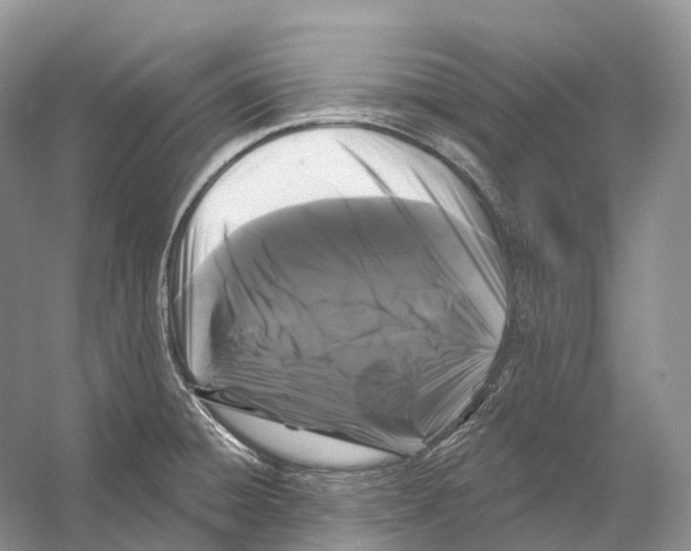 X0000053141428200508081332
