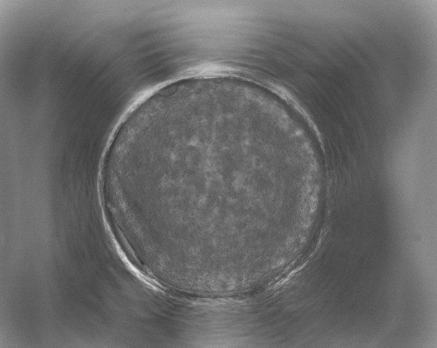 X0000053141429200508081332