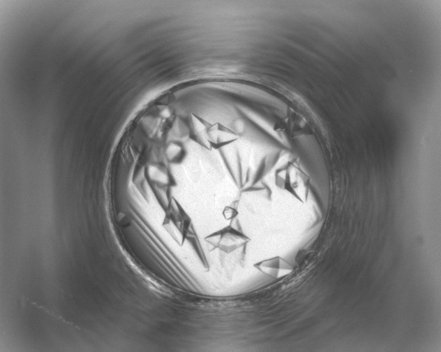 X0000053141432200508081332