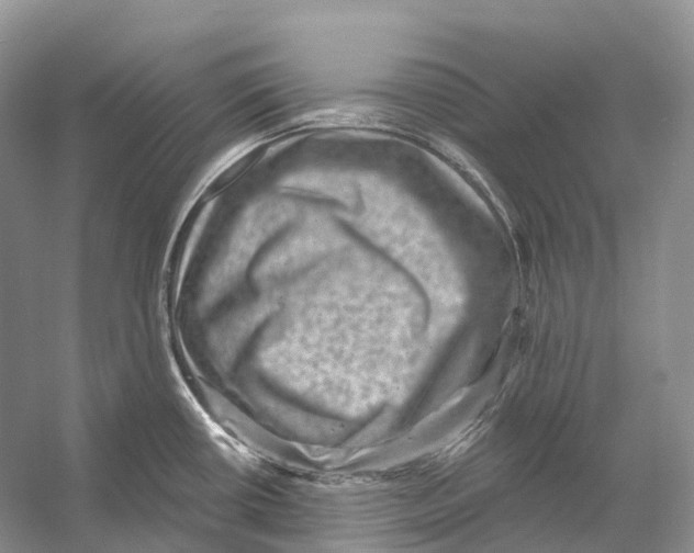 X0000053141434200508081333