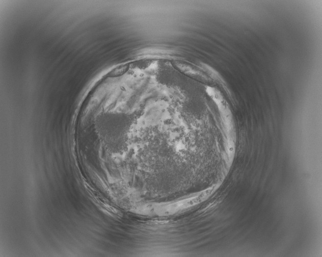 X0000053141435200508081333