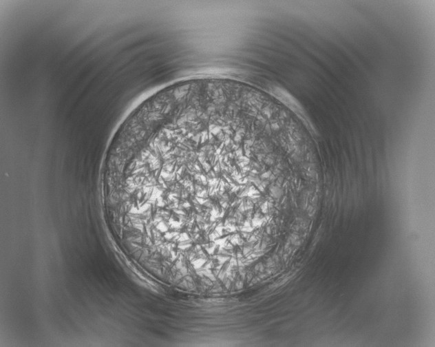 X0000053141436200508081333