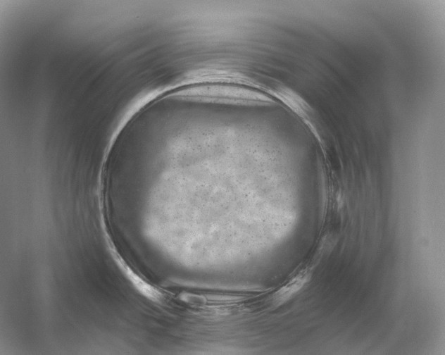 X0000053141438200508081333
