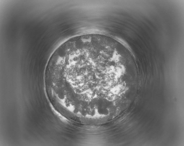 X0000053141439200508081333