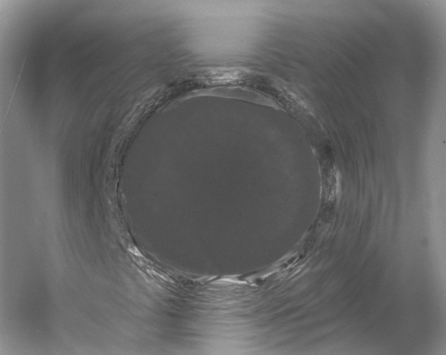 X0000053141441200508081332
