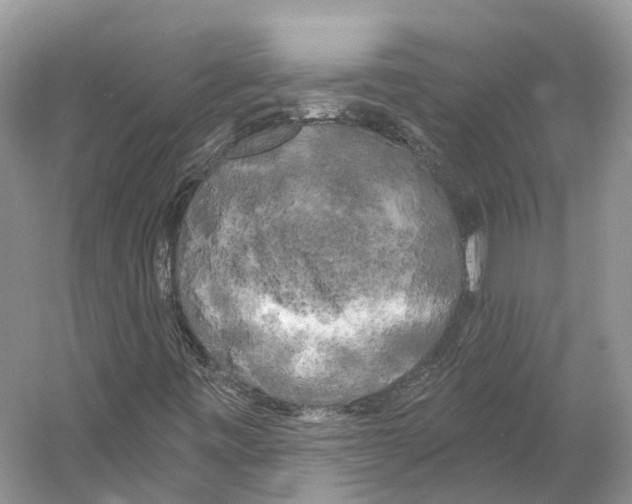 X0000053141443200508081332