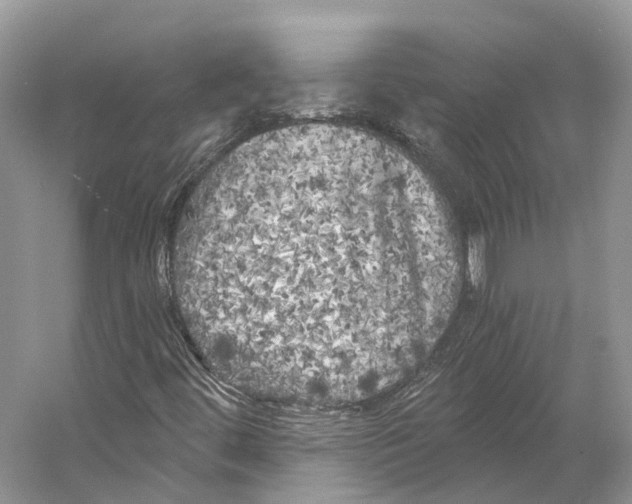 X0000053141444200508081332