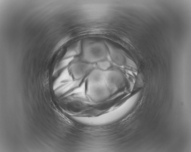 X0000053141450200508081332