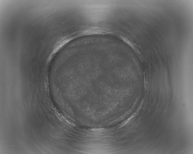 X0000053141453200508081332